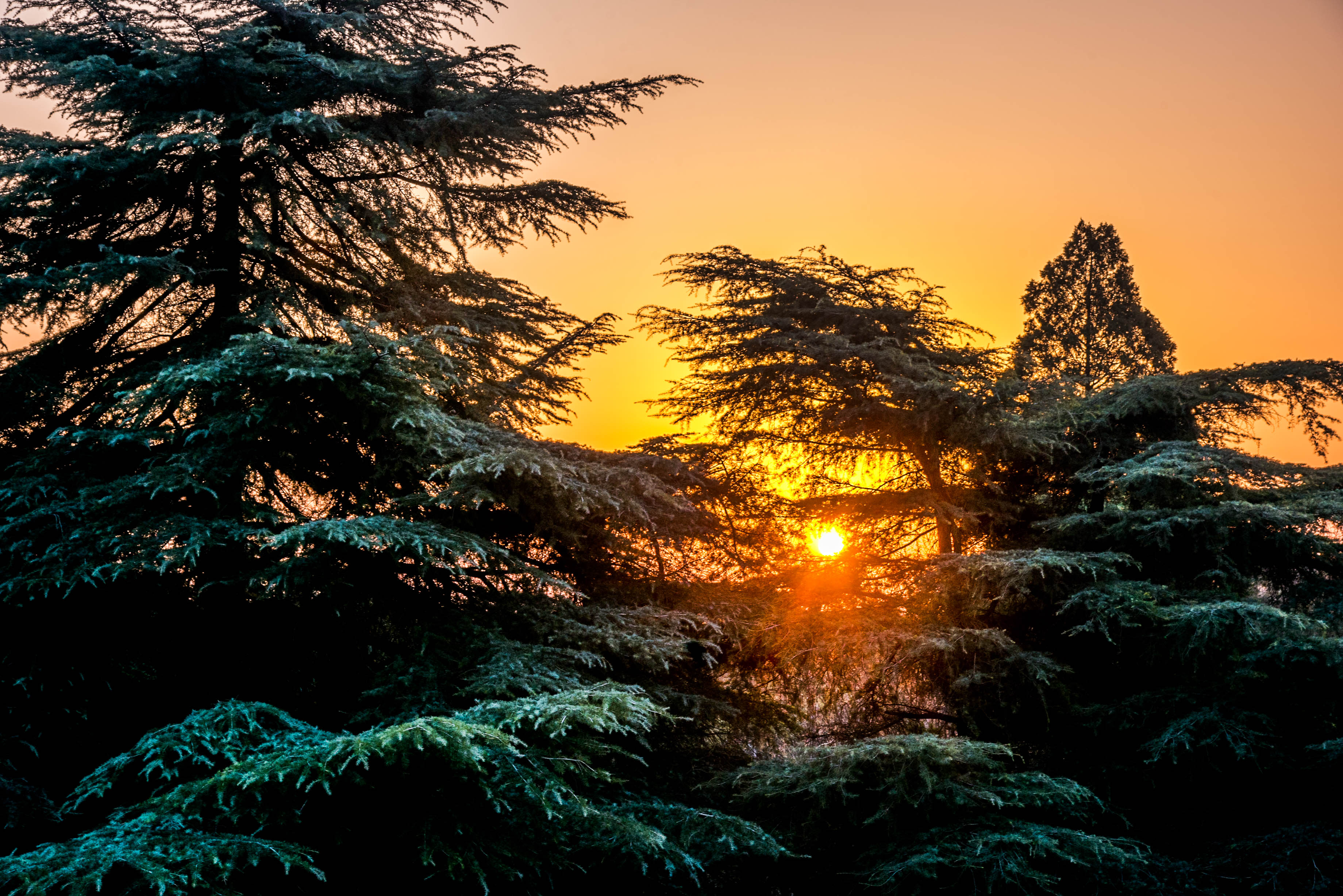 勇帅博客时隔三年我又回来了