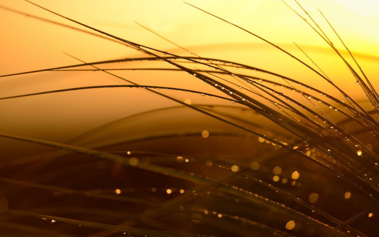 点击查看原图 201711061509950863129497.jpg