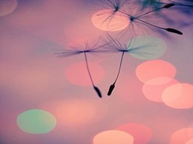 小影 v5.7.0 破解限制专业版